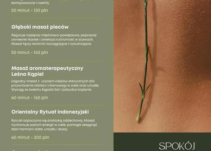 Elizjum Pod Sniezka Lejlighed *